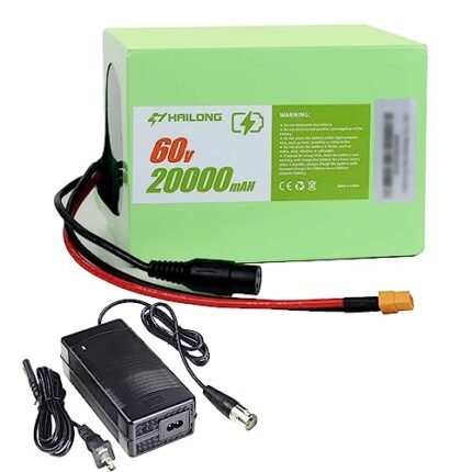 H HAILONG Ebike Battery 36V 48V 12Ah 20Ah 30Ah Electric Bike Battery Lithium Ion Battery with 2Ah Charger for 350W 450W 750W 500W 800W 1000W Electric Bicycle Motor.