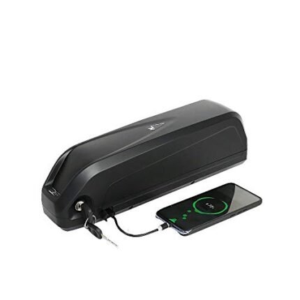 48V 20AH Electric Bike Battery, Ebike Battery Lithium ion Battery for 1500W 1000W 750W 500W Bike Motor Mountain Bicycle with Charger, BMS Protection Board, USB Port (48V20AH 200-1500W)