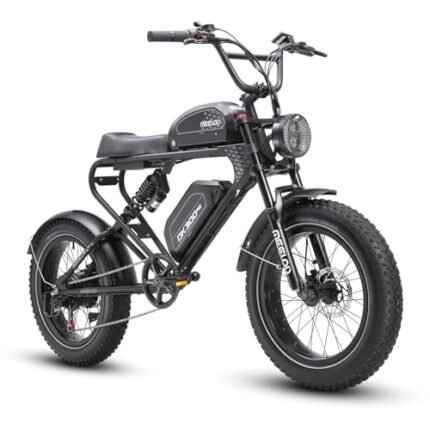 MEELOD Electric Bike for Adults 1200W Peak Power Brushless Motor Dual 48V 30AH Removable Battery Ebike,32MPH Mountain Ebike,48V LED Headlight,Color LCD Display,Dual Shock Absorber.