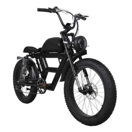 Bee Challenger Long Range Full Suspension Electric Bike, 1000W Motorcycle eBike, 100MI+ Range, 48V 30Ah Battery 24"x4" Fat Tire, 400LBS Payload, 32MPH, 7 Speed, Hydraulic Brakes.