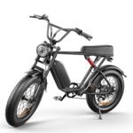 Ronson Adult Electric Bike,1000W Electric Bike 35MPH, 12-Speed 20" x4.0 Electric Bike Fat Tire,Electric Mountain Bike for Men,48V 20AH Removable Battery E Dirt Bike, Passed UL&GCC Certification.