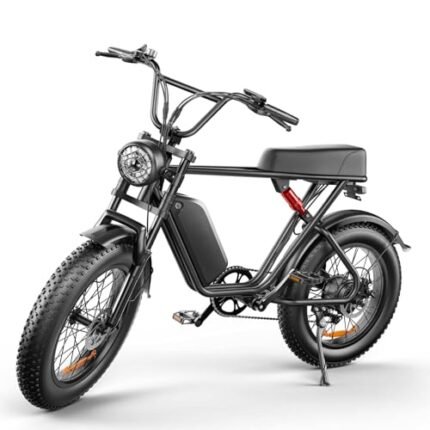 Ronson Adult Electric Bike,1000W Electric Bike 35MPH, 12-Speed 20" x4.0 Electric Bike Fat Tire,Electric Mountain Bike for Men,48V 20AH Removable Battery E Dirt Bike, Passed UL&GCC Certification.