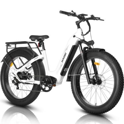 HAOQI Eagle Electric Bike for Adults, Fat Tire Ebike with 750W Motor 48V 20Ah Removable LG Battery, 26x4.0 Mountain E Bike to 28MPH with 7-Speed.