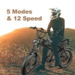 Ronson Electric Bike for Adults，Dual Motor Ebike，1000W/2000w Electric Bike，Fat Tire Ebike with 48V/20Ah/23Ah Battery，80 Miles Bike Electric,12-Speed E-Bike and Passed UL&GCC Certification. - Image 2
