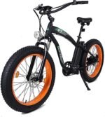 ECOTRIC Coolboy Electric Bike 26" Fat Tire 750W Electric Mountain Bike 48V 12.5AH Removable Large Battery Adult Electric Bicycles Beach Snow Mountain Bike Dual Shock Absorber & Shimano 7-Speed.