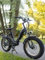 HAOQI Antelope Black Electric Bike for Adults 48V 25AH Removable Dual Lithium Battery, 750W Motor, 20" x 4.0 Fat Tire Step-Thru Ebike up to 28MPH, 7-Speed. - Image 5