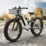 Electric Bike for Adults 960W, 48V 20AH Battery Adult Electric Bicycles, 26" Fat Tire Full Suspension Step-Thru Ebike, 28MPH Mountain Ebike, 7 Speed, 80Miles Range, UL Certified-Boxer ST.