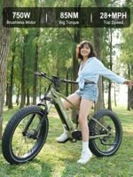 HAOQI 750W (Peak 1000W) Cheetah Electric Bike for Adults, 48V 16AH/25Ah Removable Batteries Ebike, Brushless Motor up to 28MPH, 7-Speed, 26" x 4.0 Fat Tire Mountain Bike,UL 2849 Certified. - Image 4