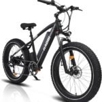 HAOQI 750W(Peak 1000W) Leopard Pro Electric Bike for Adults, 48V 20AH Removabl Battery Mountain Bike,26" x 4.0 Fat Tire Ebike with 28MPH, 7-Speed,UL 2849 Certified.