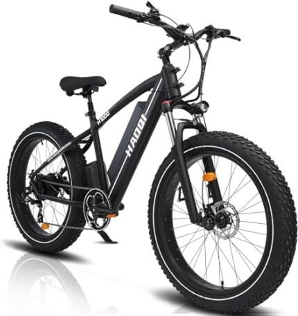 HAOQI 750W(Peak 1000W) Leopard Pro Electric Bike for Adults, 48V 20AH Removabl Battery Mountain Bike,26" x 4.0 Fat Tire Ebike with 28MPH, 7-Speed,UL 2849 Certified.