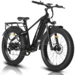 HAOQI Eagle Electric Bike for Adults, Fat Tire Ebike with 750W Motor 48V 20Ah Removable LG Battery, 26x4.0 Mountain E Bike to 28MPH with 7-Speed.