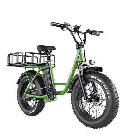 Freego Electric Dirt Bike for Adults, Electric Motorcycle for Adults, 20" x 4 Fat Tire Electric Bicycle, 48V/15AH/25AH Removable Battery, 30Mile/62Mile/28MPH, with Front and Rear Cargo Rack, 2 Seater.