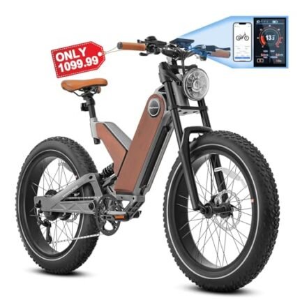 Eahora P5 Plus (Upgraded) Electric Bike Peak 1000W Electric Mountain Bike 48V 20Ah Large Capacity Battery 24 * 4.0 Fat Tire Electric Bike 32MPH Full Suspension Electric Bike Color Intelligent Display.