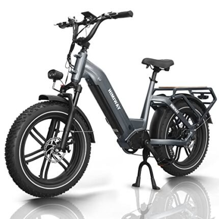 Himiway Big Dog 20X4'' Fat Tire Electric Bike Cargo Ebike 750W 48V 20Ah Removable Battery.