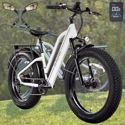 HAOQI Leopard Electric Bike for Adults, 750W(Peak 1000W) Brushless Motor Mountain Bike,26" x 4.0 Fat Tire Ebike, 48V 20AH Removable Battery, 28MPH Electric Bicycle,7 Speed.