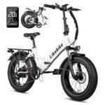 Folding Electric Bike 20" x 4.0 Fat Tire Electric Bicycle,48V Lithium Removable Battery,Peak 720W Folding Ebike for Adult,5 Pedal-Assist Levels& Large LCD Display,Step Through ebike for Adult.