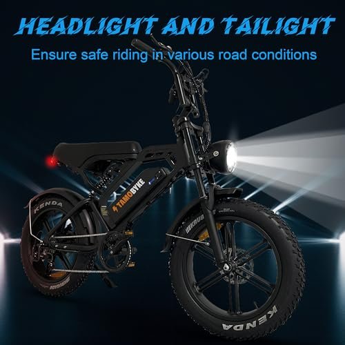 Version 1.0.0 V20 3.0 Ebike 1000W Brushless Motor, 48V/15Ah Lithium Battery, 20" x4.0 Fat Tire, Snow, Road, Mountain Adventure Electric Bicycle. - Image 3