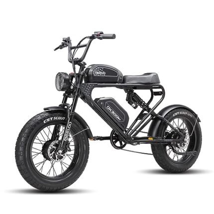 MEELOD Electric Bike for Adults 2400W Dual Brushless Motor Dual 48V 40AH Removable Battery Mountain Ebike, 48V LED Headlight, Color LCD Display, Dual Shock Absorber.