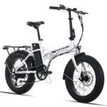 Totem Fat Tire Foldable Electric Bike-Folding E Bike for Adults 750W Peak Motor-20"x4.0" Fat Tire for Woodland,Mountain,Beach,Snow-48V Removable Battery-Speed 20MPH-Max Range 40+ Mile.