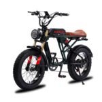 750W Electric Dirt Bike for Adults, 20 * 4.0" Fat Tire & 624WH Removable Battery Moped Style Electric Bike, Up to 28MPH, 7 Speed Gear All-Terrain Ebike for Off-Road, Mountain, Snow (Green).