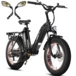HAOQI Antelope Black Electric Bike for Adults 48V 25AH Removable Dual Lithium Battery, 750W Motor, 20" x 4.0 Fat Tire Step-Thru Ebike up to 28MPH, 7-Speed.