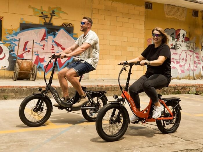 MARS700 Peak 1000W Motor Folding Electric Bike for Adults, 48V 20.8 AH Super Battery Up to 30MPH and 100 Miles, 7-Speed 20" Fat Tire All Terrain Ebike. - Image 2